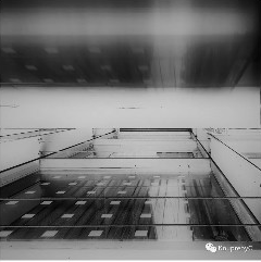 巴别塔上的少女原文配图